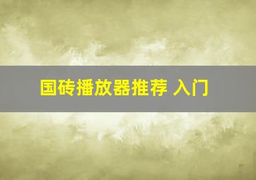 国砖播放器推荐 入门